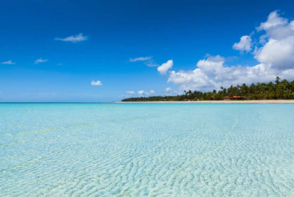 Transfer de Porto de Galinhas para Maragogi