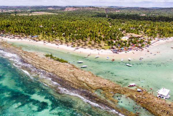 Transfer de Recife para Carneiros (Tamandaré)